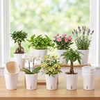 Ziliny 10 Pcs 5.91 Inch Self Watering Planters with Water Indicator - Image 2