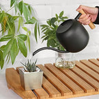 DOITOOL Watering Kettle Watering Spray Bottle Spray Bottle for Plants Plant Watering Pot Plant Spray Bottle Gardening Spray Kettle Sprinkle Water Watering Can Wooden Handle - Image 6