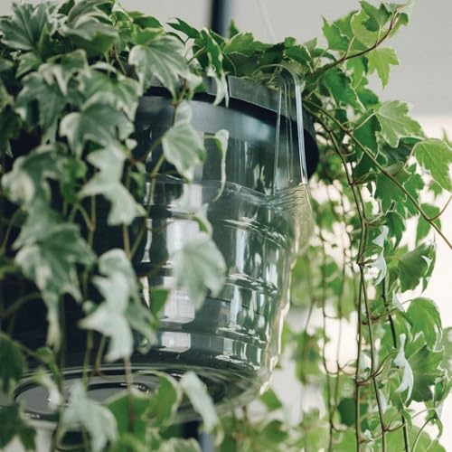 8-10-12" 12-Pack Clear Hanging Plant Basket Drip Pans Water Catcher Tray - Image 5