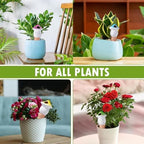 Water Globes for Outdoor Plants Mushroom Shape Irrigation Dripper - Image 4