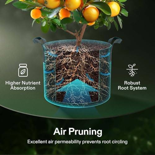 VIVOSUN 10-Pack 3 Gallon Grow Bags and 10Pcs Self-Watering Spikes, Hexagonal Terracotta Watering Stakes, Auto-Water Device, Planter Insert for Indoor & Outdoor Potted Plants, 10-Pack - Image 5