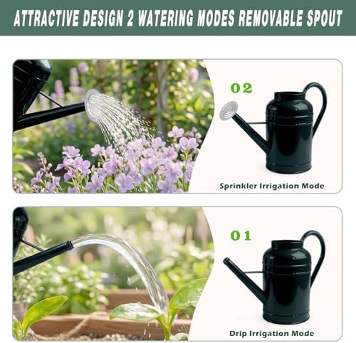 LONGRUN 2.3 Gallon Dark Green Metal Watering Can for Plants and Garden with Removable Spout, Made of Galvanized Iron - Image 4