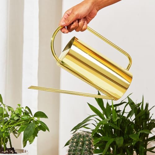 51oz Stainless Steel Watering Can, Long Spout Houseplant Waterer - Image 6