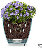 Gardenera 6.7" Deco Self Watering Pots for Indoor Plants in Transparent (Set of 3) - Decorative Flower Pot with Water Level Indicator and Drainage Cartridge for All House Plants, Flowers and Herbs - Image 6