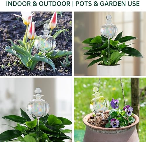 Soilagua 10 oz Large Top Fill Cactus Plant Watering Globes, Light Iridescent Glass Water Bulbs, Slow Release Self Watering Devices, Vacation Plant Watering System Self Watering Planter Insert, 4 Pack - Image 6