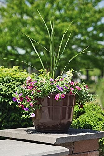 Garden Elements Indoor/Outdoor Glazed Brushed Happy Plastic Planter, Large, Dark Brown, 15" (Pack of 2) - Image 2