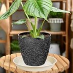 OVZILKI 2 Pack of Plant Saucer Tray 19 inch, Heavy Duty Plastic Pot Plant Drip Trays Saucers for for Indoors Outdoor, Plant Water Tray for Planters 16-19" (19", Beige) - Image 5