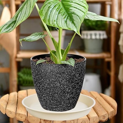 OVZILKI 2 Pack of Plant Saucer Tray 19 inch, Heavy Duty Plastic Pot Plant Drip Trays Saucers for for Indoors Outdoor, Plant Water Tray for Planters 16-19" (19", Beige) - Image 5