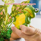 4pcs Frog Watering Globes Spikes Terracotta Automatic Waterer Irrigation Drippers for Pots Plant Automatic Stakes - Image 3