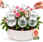19 oz Large Self Watering Globes for Plants, Top Fill, 6 Pack by Unknown