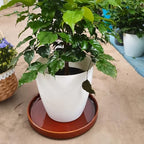 Ceramic Plant Saucer 9 Inch, Round Plant Trays for Indoors/Outdoors, Flower Pot Saucers for Holding Water Drips and Soil, Ceramic Drainage Tray for Plant Pot (Reactive Glaze Brown) - Image 6