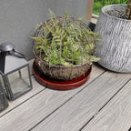 Ceramic Plant Saucer 14.5 Inch, Round Plant Trays for Indoors/Outdoors, Flower Pot Saucers for Holding Water Drips and Soil, Drainage Tray for Plant Pot, Reactive Glaze Brown - Image 6