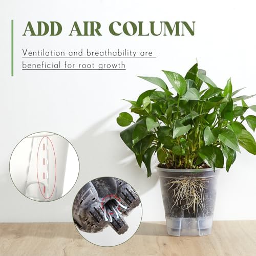 Wonderjune Self Watering Planter, 5.91'', Clear, 9 Pcs - Image 4