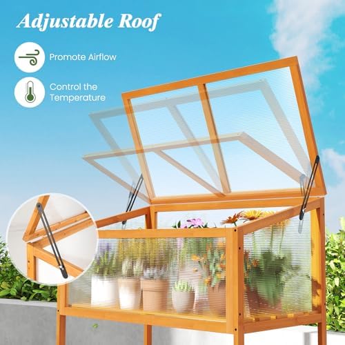 Giantex Wood Cold Frame Greenhouse, Raised Flower Planter Protection with Transparent Openable Roof & Slatted Shelf, Indoor Outdoor Hot House for Garden Balcony, 36”x20”x42” - Image 2