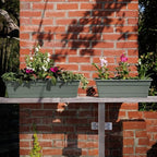 Bloem Dura Cotta 30" Plastic Window Box Planter with Saucer, Basil, 3-Pack - Image 2