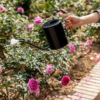 L&H Unico Stainless Steel 62oz Watering Can Long Spout Plant Misters for Indoor Plant Watering or Outdoor Gardening with 2Pcs Removable Spray Spout for Flowers Black - Image 6