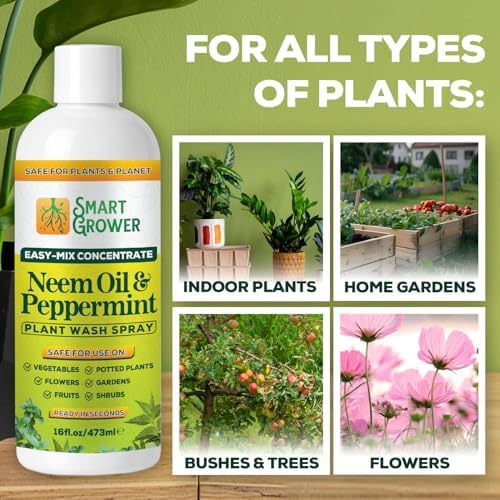 Neem Oil Spray for Plants with Peppermint Oil. Indoor & Outdoor Plant Use - Image 6