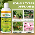 Neem Oil Spray for Plants with Peppermint Oil. Indoor & Outdoor Plant Use - Image 6