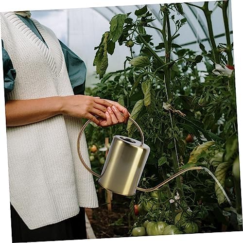 Stainless Steel Watering Pot 2000ml Long Spout Brass Garden Can - Image 2