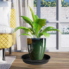 OVZILKI 3 Pack of Plant Saucer Tray 16 inch, Heavy Duty Plastic Pot Plant Drip Trays Saucers for Indoors Outdoor, Plant Water Tray for Planters 14 15" (16", Black) - Image 3