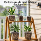 Bluepro Clear Nursery Pots with Drainage, 3.5/4/5/6/8 Inch, 20-Pack - Image 4