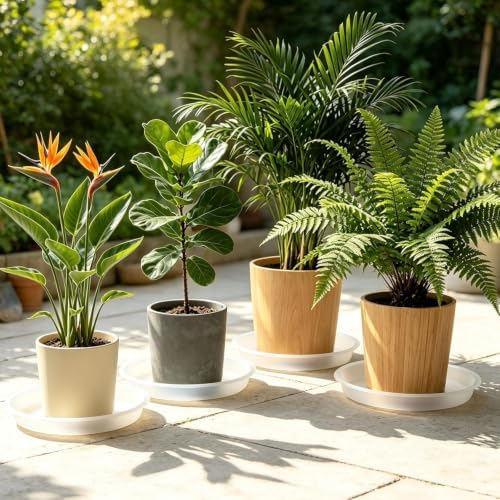 TITE 3 Pack Plant Saucer Heavy Large Planter Durable Thicker Plastic Plant Trays for Indoors and Outdoor,Plant Saucer Drip Trays (Transparent, 16 inch) - Image 6