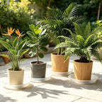 TITE 3 Pack Plant Saucer Heavy Large Planter Durable Thicker Plastic Plant Trays for Indoors and Outdoor,Plant Saucer Drip Trays (Transparent, 16 inch) - Image 6