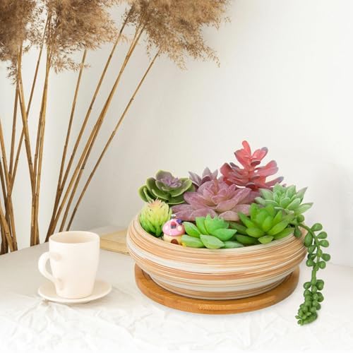 Succulent Pots, Large Plant Pots Ceramic Bonsai Pots with Drainage Tray - Image 6