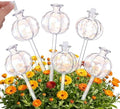 AHANDMAKER 6 Pack Cactus Shaped Glass Plant Self Watering Globes Automatic Mini Irrigation System for Potted Plants Indoor Outdoor Garden Office Decoration Gift for Plant Lovers by AHANDMAKER