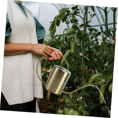 Stainless Steel Watering Can with Long Spout Rust-Resistant Simple Watering Kettle for Indoor and Outdoor Plants in Classic Golden Color for Garden and Home Use - Image 4