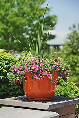 Garden Elements Indoor/Outdoor Glazed Brushed Happy Plastic Planter, Large, Bright Orange, 15" (Pack of 2) - Image 4