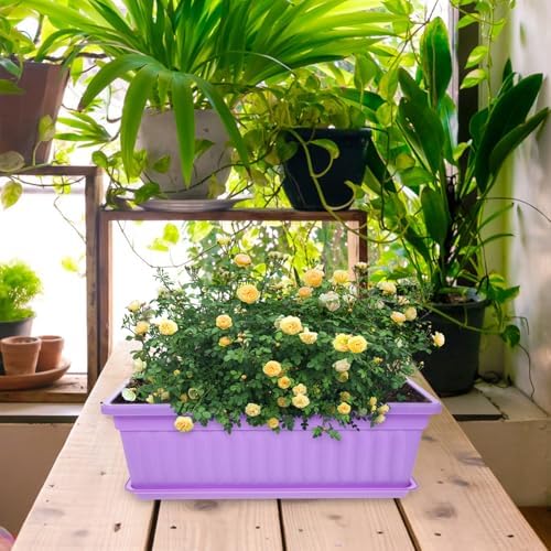 4 Pack Rectangular Window Box Planters with Tray and Drainage - Image 5