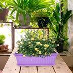 4 Pack Rectangular Window Box Planters with Tray and Drainage - Image 5