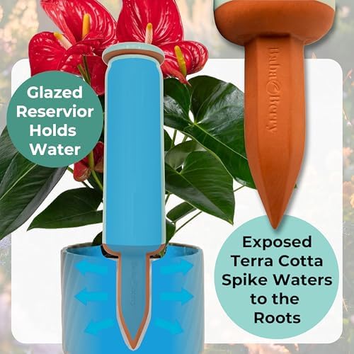 Terracotta Watering Spikes 2 Pack 17.5oz Capacity Plant Watering Devices Self Watering Spikes Large Plant Watering Globes Self Watering Planter Insert AcquaTerra with Root Dibber Installer - Image 6