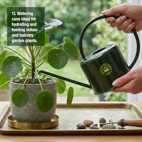Spear & Jackson Kew Gardens Urban Oasis Collection 1LWCKEWG 1 Litre Compact Watering Can - 1L - Racing Green - Image 3