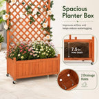 Trellis Raised Garden Bed with Wheels Trellis for Climbing Plants Outdoor - Image 4