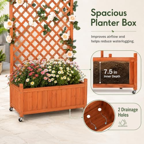 Trellis Raised Garden Bed with Wheels Trellis for Climbing Plants Outdoor - Image 4