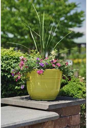 Garden Elements Indoor/Outdoor Glazed Brushed Happy Plastic Planter, Large, Bright Yellow, 15" - Image 5