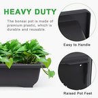GROWNEER Bonsai Pots with Drainage Tray 6 Pack 9 Inch Bonsai Training Pot - Image 5