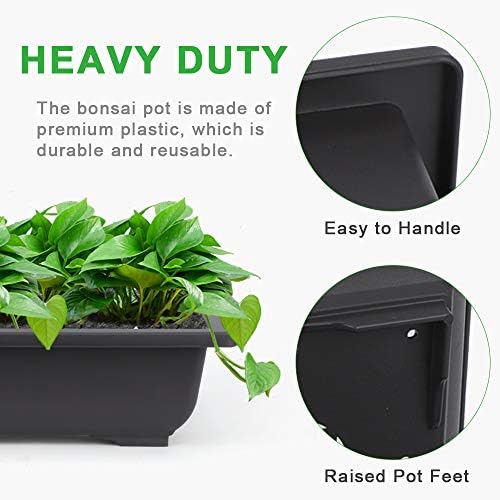 GROWNEER Bonsai Pots with Drainage Tray 6 Pack 9 Inch Bonsai Training Pot - Image 5