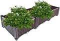 YSUEFIJO Raised Garden Bed Box Vegetable Planter, Planter Box Plastic Rectangle, Garden Bed Kit for Vegetables, Elevated Planter Box for Flower/Herb/Backyard/Patio/Balcony by WELCOMETOYSUEFIJO