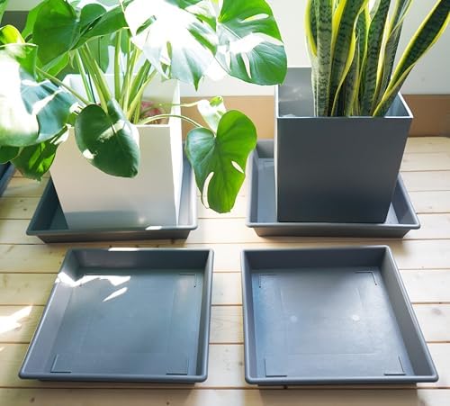NIMYAU Square Plant Saucer 18 Inch 2 Pack, Large Plant Trays for Pots Heavy Duty Gray Plastic Plant Saucers for Indoors Outdoors, Flower Pot Plant Drip Trays No Holes Plant Lover Gardening Gifts - Image 6