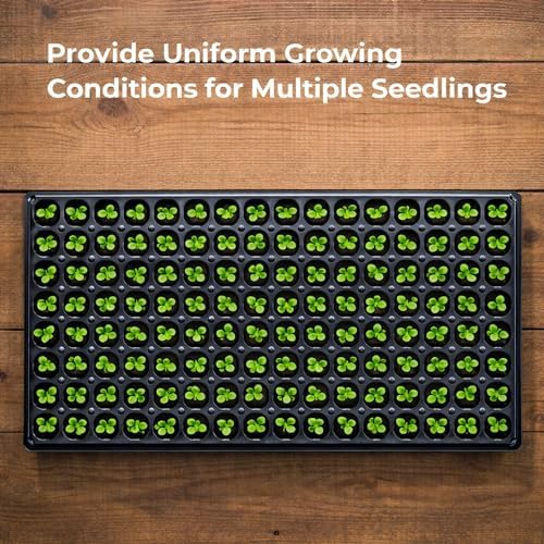 Gardzen 10 Pack 128 Cell Seed Starter Trays - Image 2