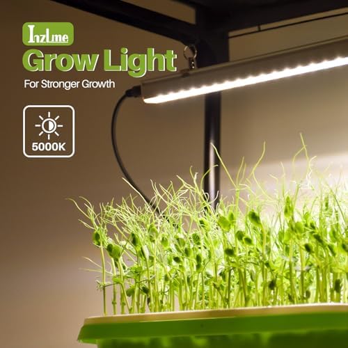 2-Tier Desktop Indoor Greenhouse with Grow Light, 11.8x23.6x23.6 - Image 4