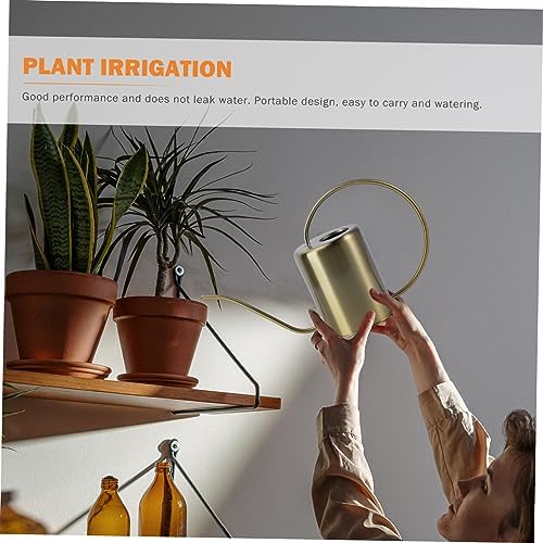 Watering Kettle with Long Spout 2000ml Stainless Steel for Home Gardening - Image 2