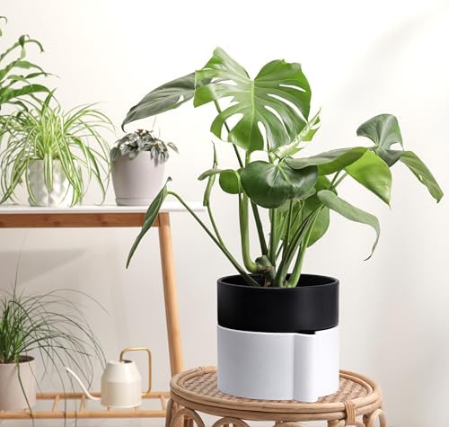 8 Inch Self-Watering Planter Pot with Terracotta Insert, Deep Water Reservoir, and Ceramic-Alike BPA-Free Plastic Planter Pot for Plant, Modern Planter for Houseplants, White/Black, 53-B-T-4 - Image 2