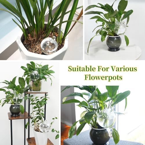 8pcs Plant Self Watering Globes with Covers, Plastic Water Bulbs Top Fill, Plant Watering Devices System Slow Release Terracotta, Water Spikes Stakes for Indoor - Image 7