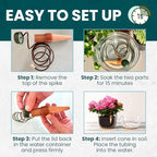 Blumat Classic Self-Watering Stakes - Prevents Overwatering and Underwatering for Healthy Growth While You are Away - Ideal for Indoor Plant Watering, 14 Pack, w/o Adapter - Image 6