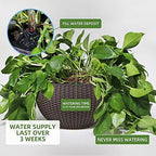 Dexceder 9 Inch Self Watering Hanging Planter (Brown) - Image 4