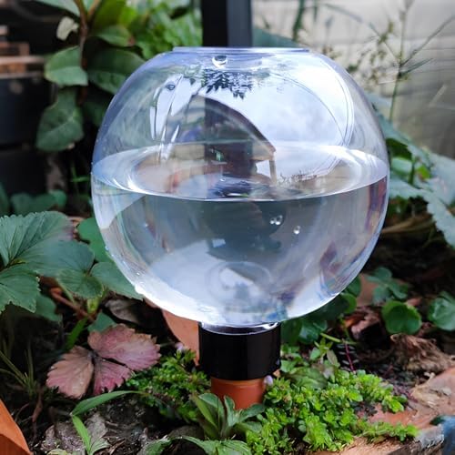Five-Piece Self-Watering Globes (500 Ml) For Indoor And Outdoor Plant Care, Automated Slow Water Release With Decorative Ceramic Base, Great For Busy Gardeners - Image 4
